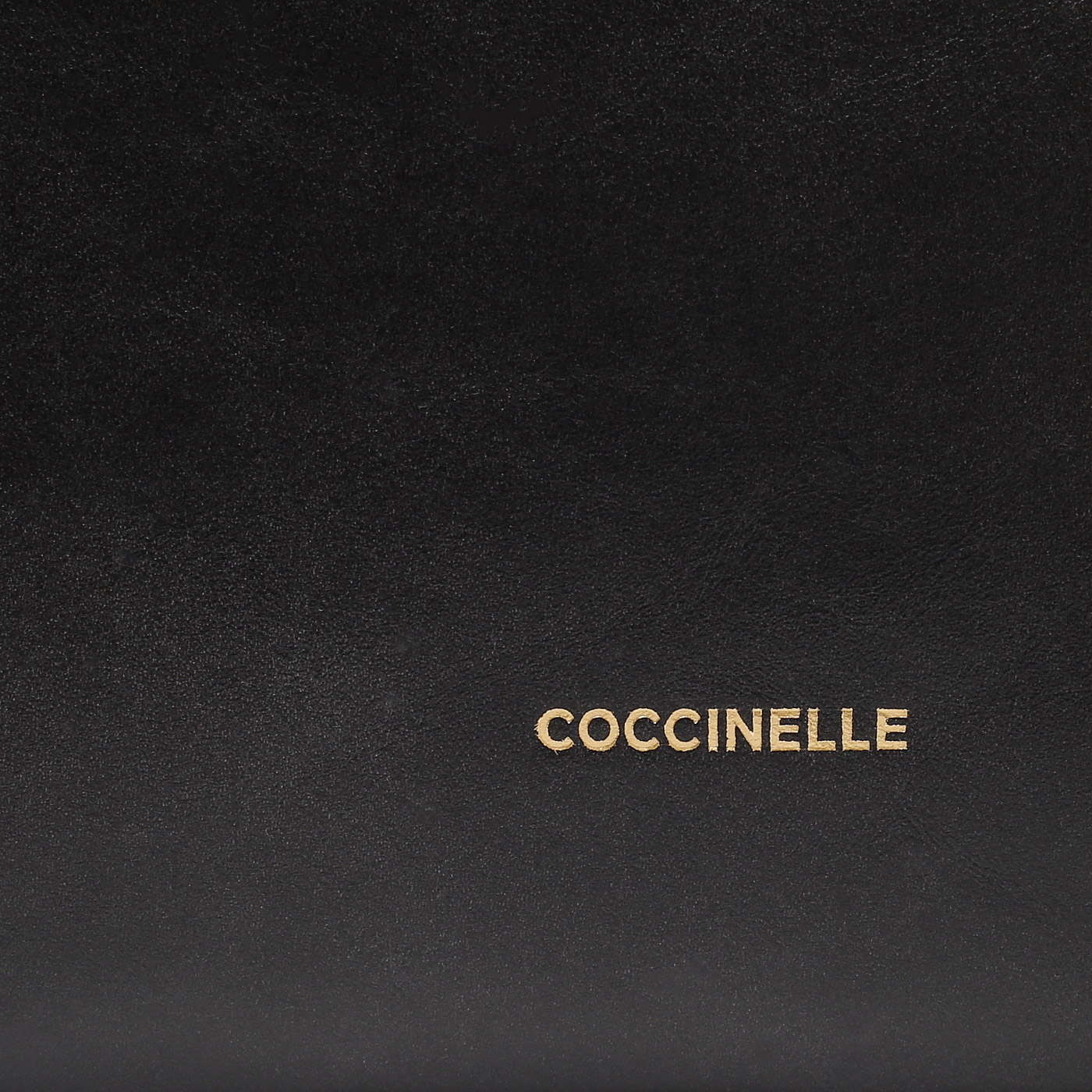 Кожаная сумка Coccinelle Boheme vintage
