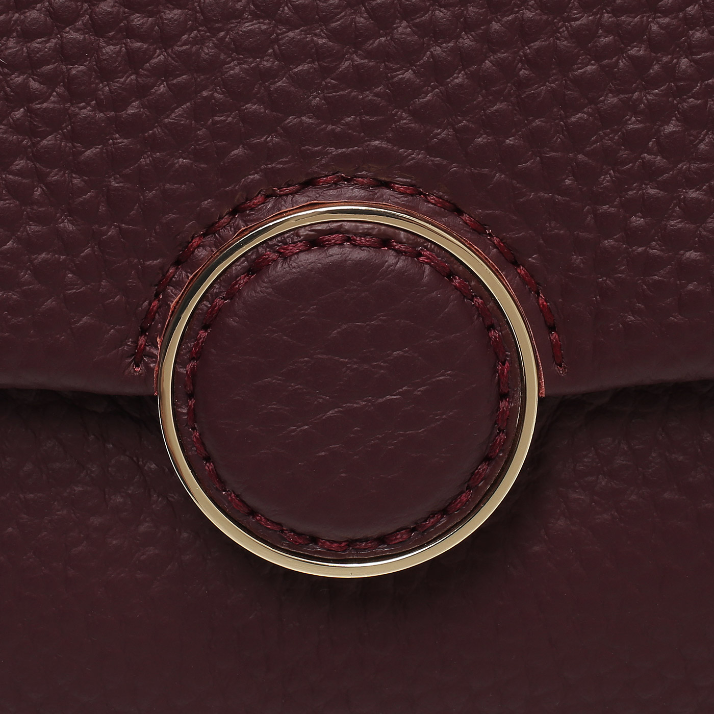 Кожаная сумка Carlo Salvatelli Double